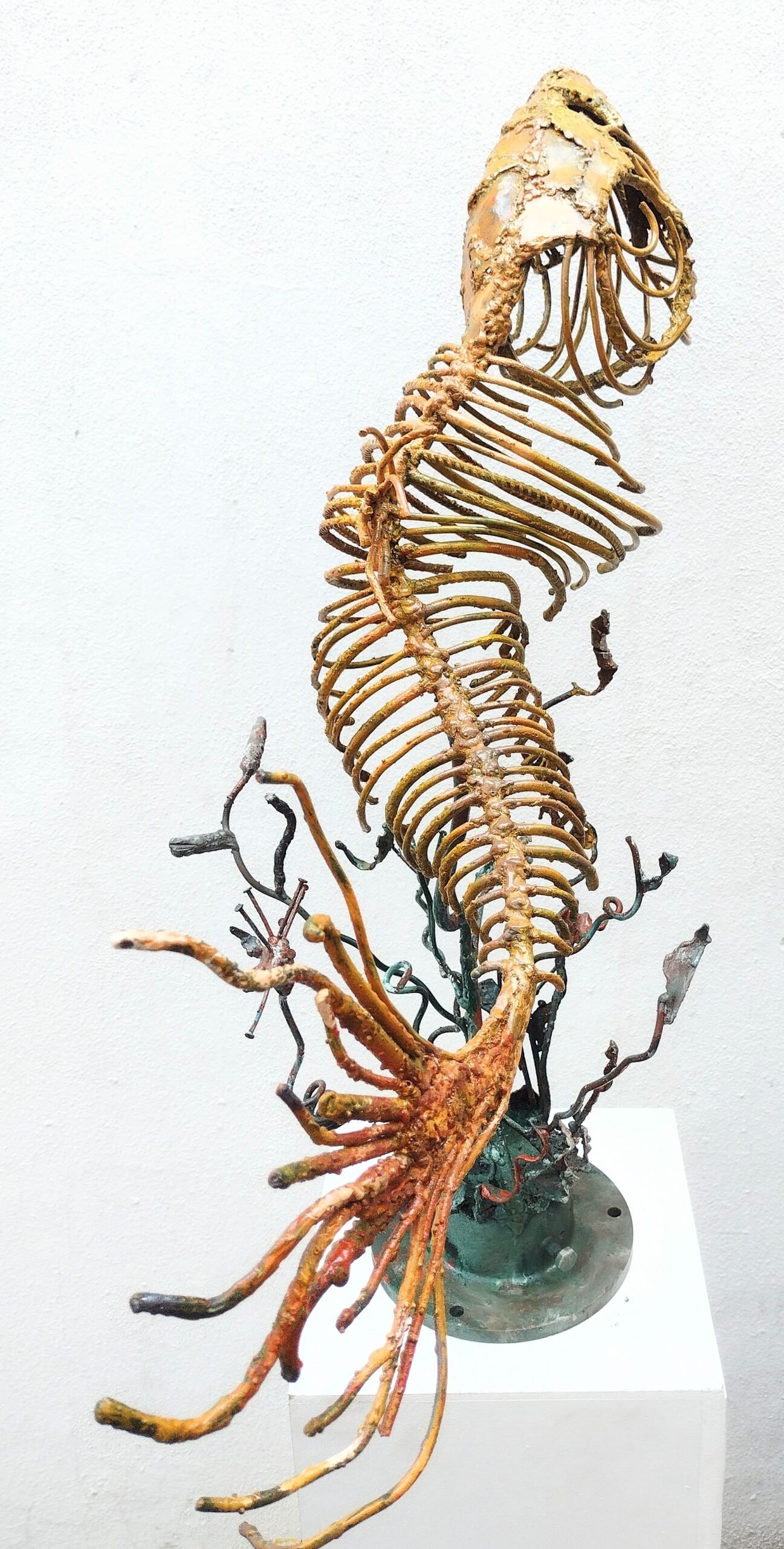 Paraná 2 - Imagen 7