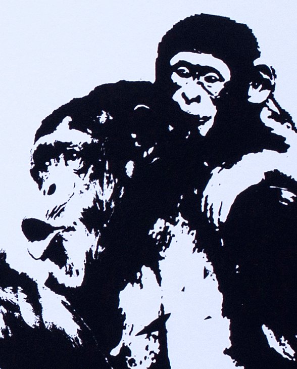 Zona de peligro. - Imagen 3